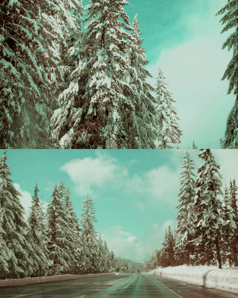 snowy.png