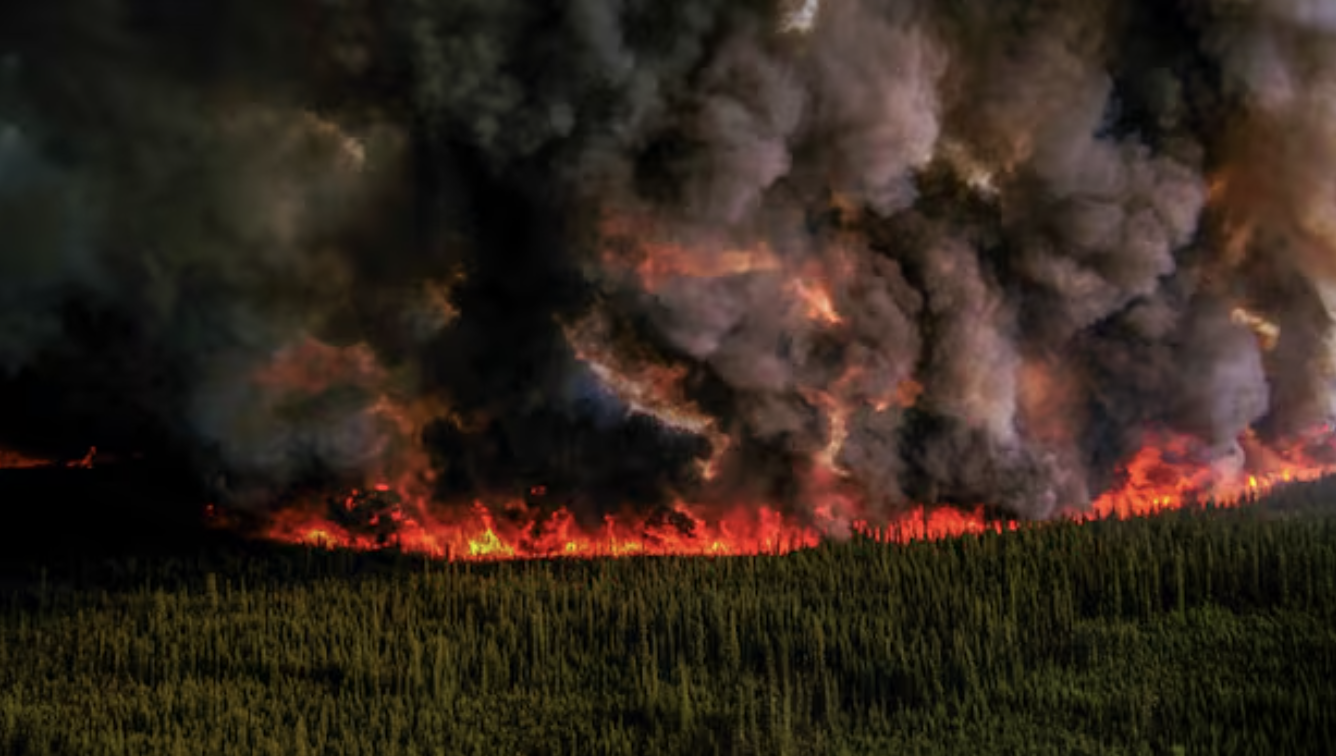 wildfire